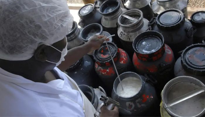  CMN libera linha de capital de giro a cooperativas de leite no Pronaf 